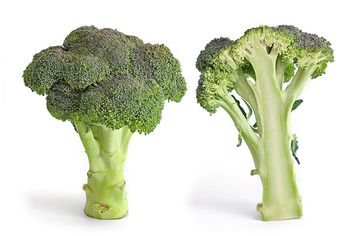 Брокколи (Brassica oleracea var. italica) — внешний вид растения