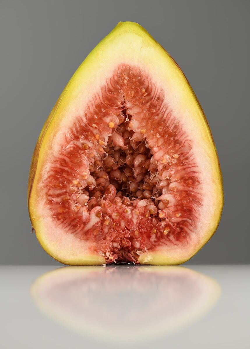 Инжир (Ficus carica) — внешний вид растения