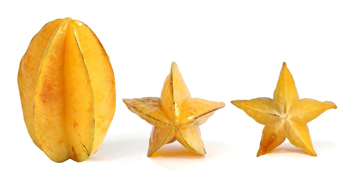 Карамбола (Averrhoa carambola) — внешний вид растения