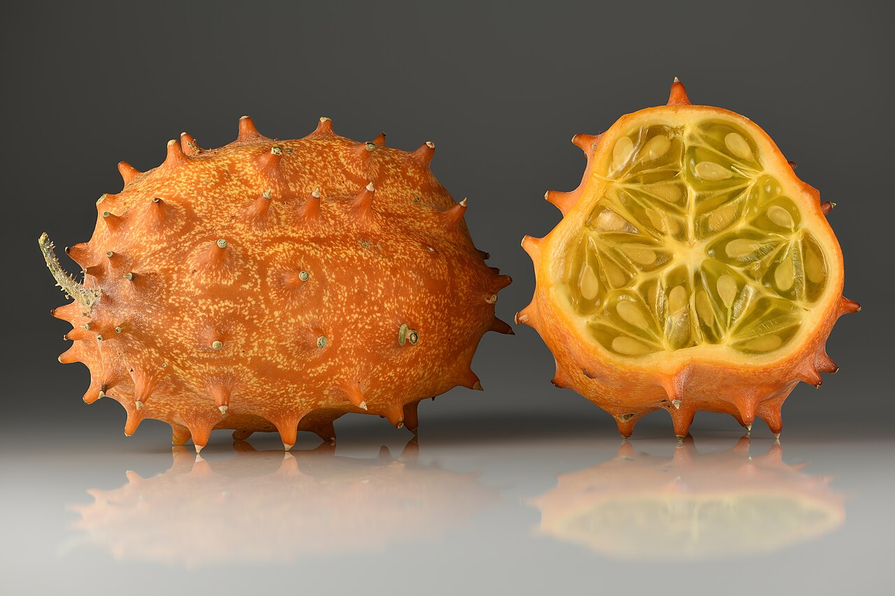 Кивано (Cucumis metuliferus) — внешний вид растения