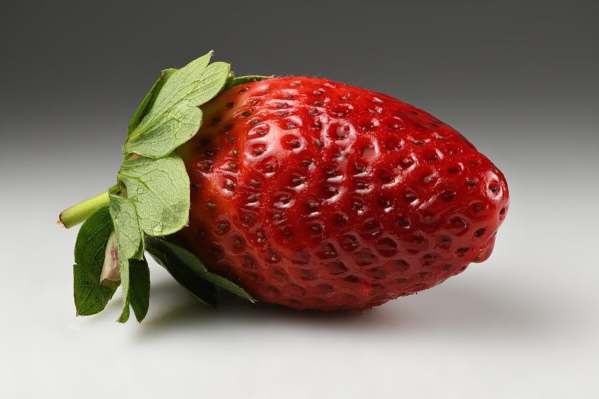Клубника (Fragaria × ananassa) — внешний вид растения