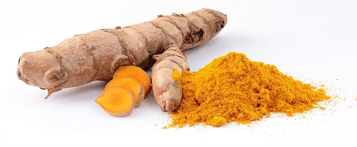 Куркума (Curcuma longa) — внешний вид растения