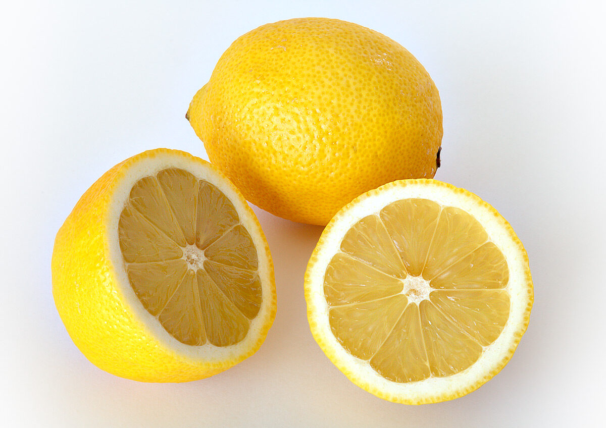 Лимон комнатный (Citrus limon) — внешний вид растения
