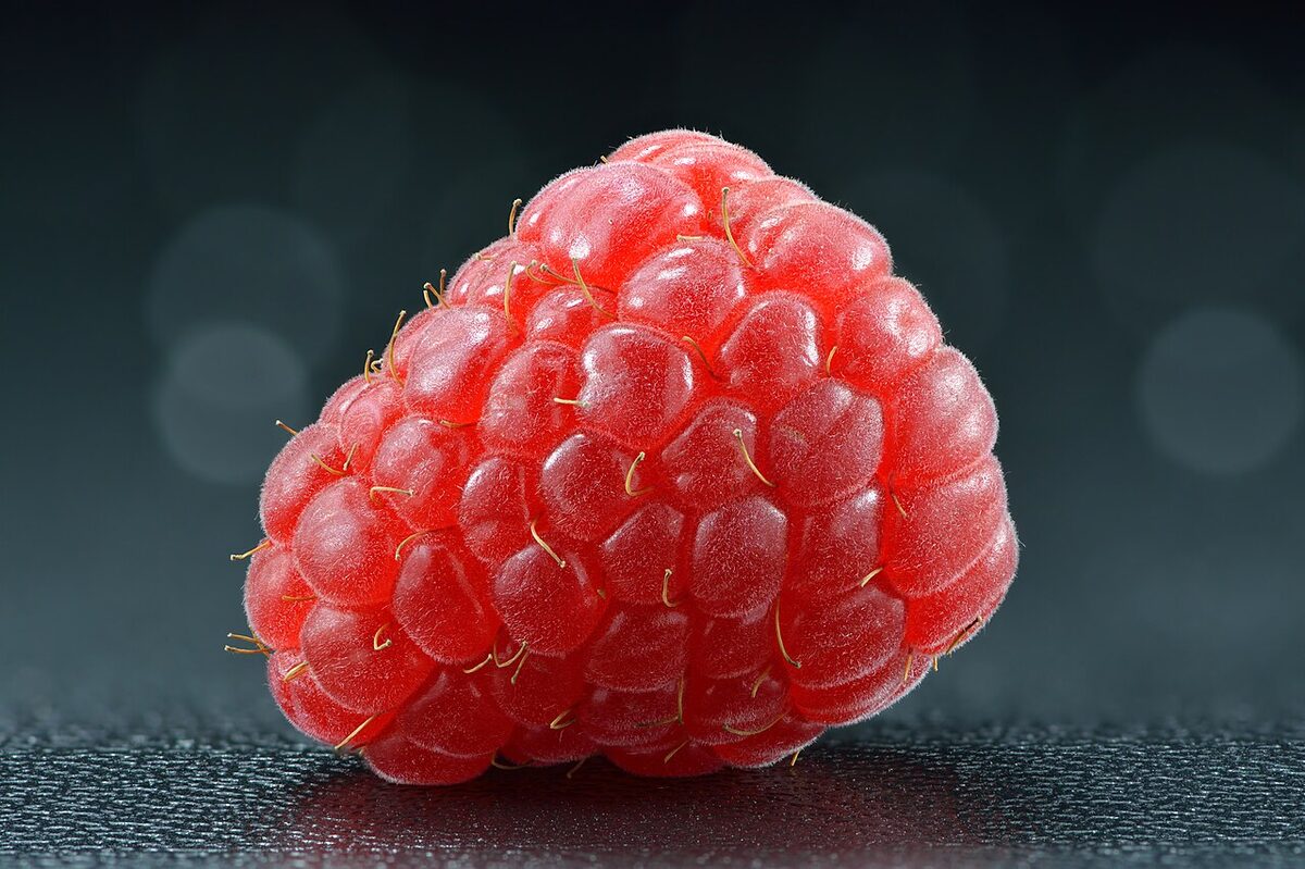 Малина (Rubus idaeus) — внешний вид растения