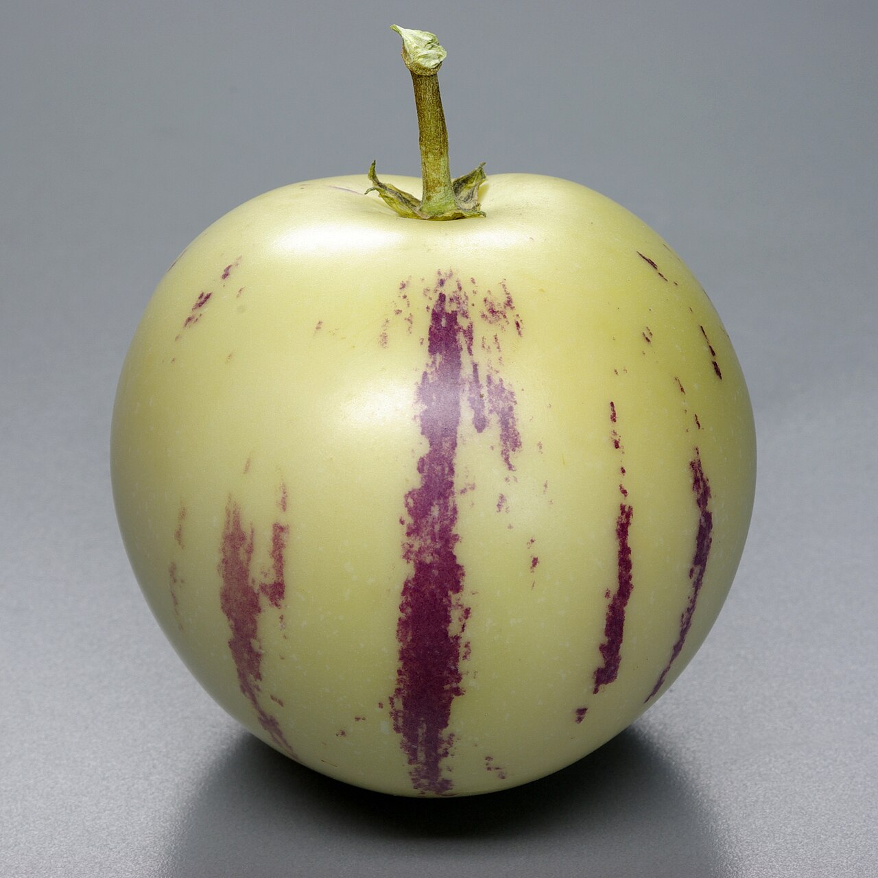 Пепино (Solanum muricatum) — внешний вид растения