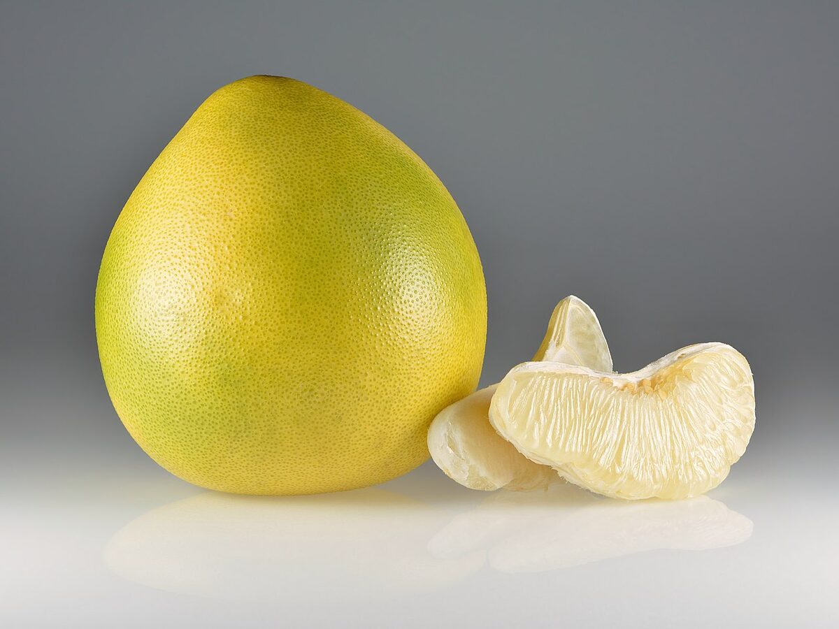 Помело (Citrus maxima) — внешний вид растения