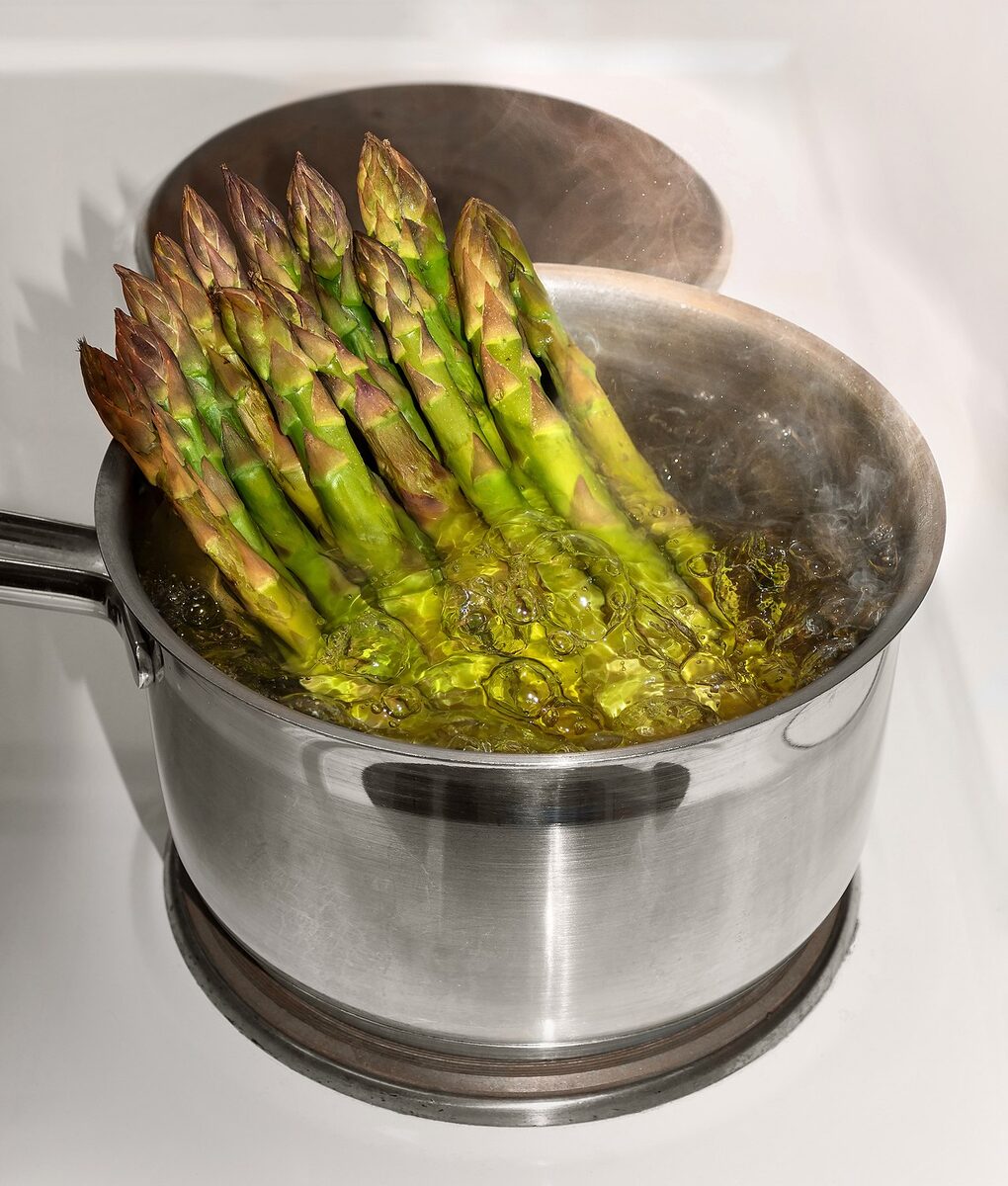 Спаржа (Asparagus officinalis) — внешний вид растения