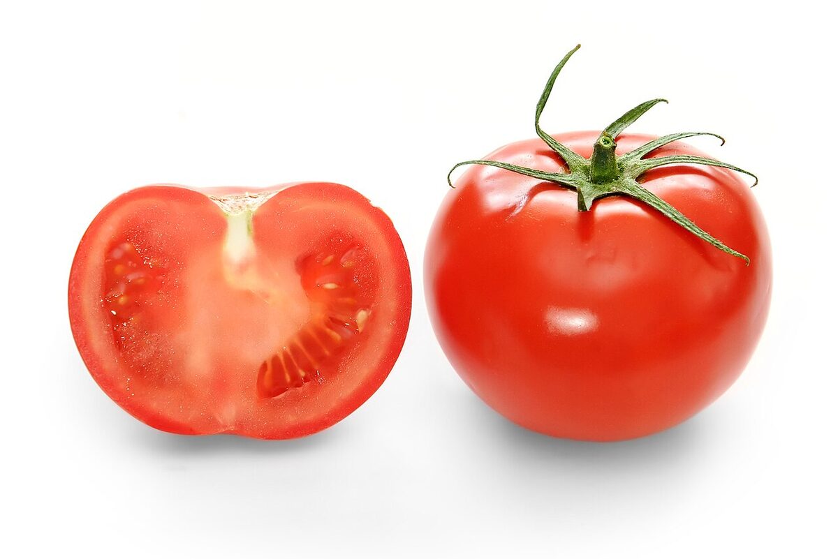 Томат (Solanum lycopersicum) — внешний вид растения