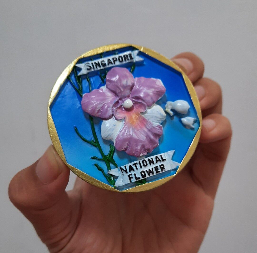 Ванда (Vanda) — внешний вид растения